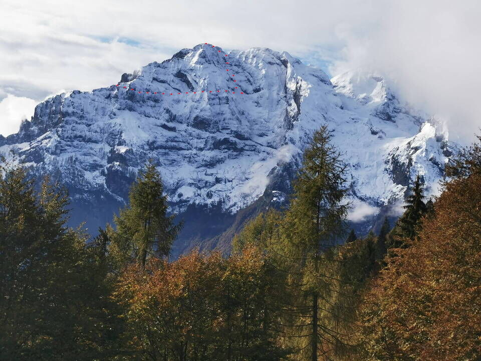 Pelf da nord